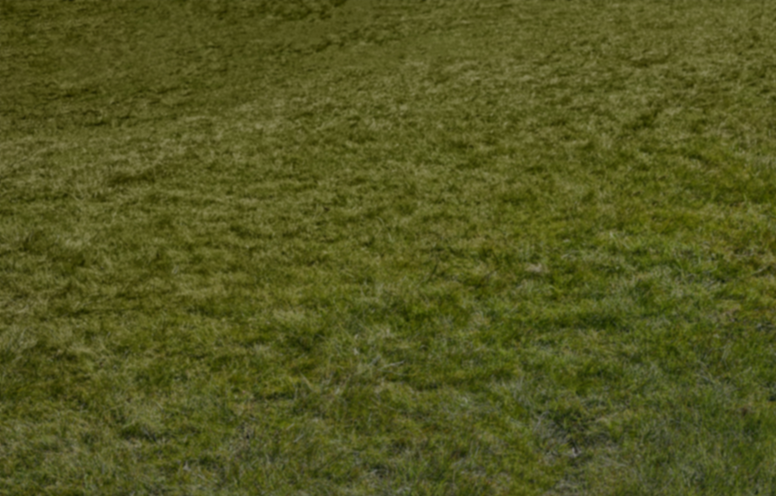 Imagem de um jardim verde com uma cerca branca. 